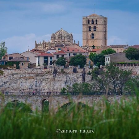 A Los Ojos Del Rio Duero ثامورا المظهر الخارجي الصورة