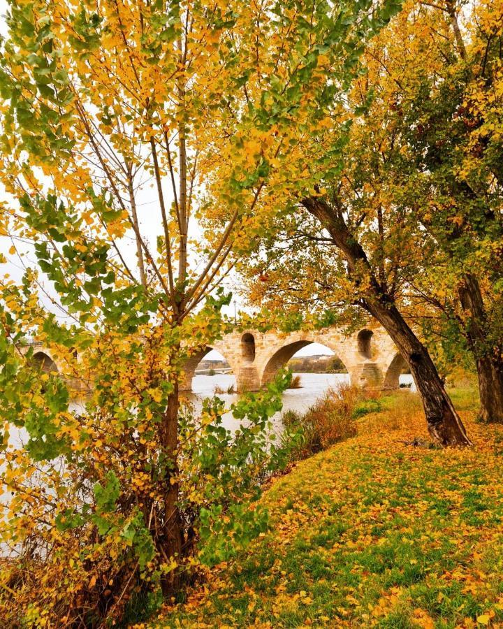 A Los Ojos Del Rio Duero ثامورا المظهر الخارجي الصورة
