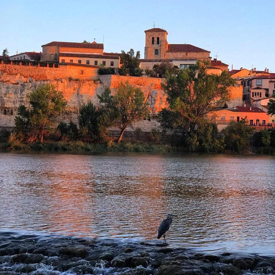 A Los Ojos Del Rio Duero ثامورا المظهر الخارجي الصورة