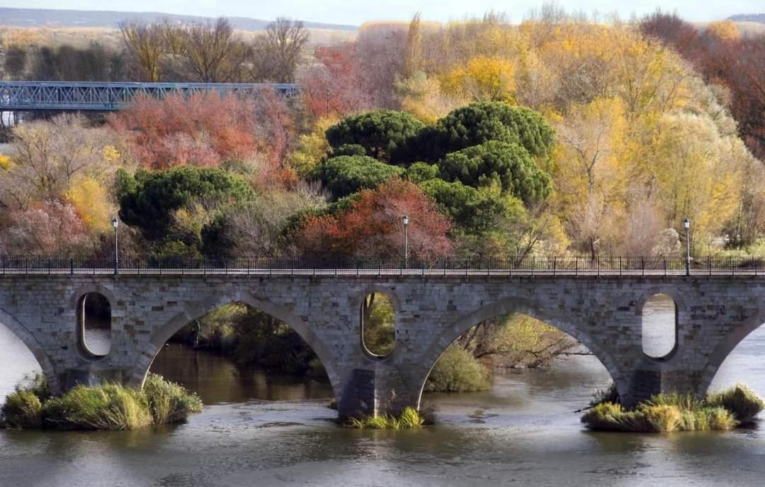 A Los Ojos Del Rio Duero ثامورا المظهر الخارجي الصورة