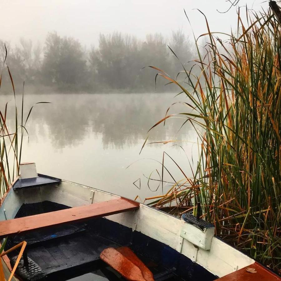 A Los Ojos Del Rio Duero ثامورا المظهر الخارجي الصورة