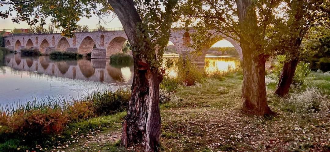 A Los Ojos Del Rio Duero ثامورا المظهر الخارجي الصورة