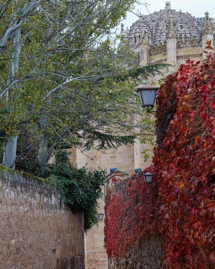 A Los Ojos Del Rio Duero ثامورا المظهر الخارجي الصورة
