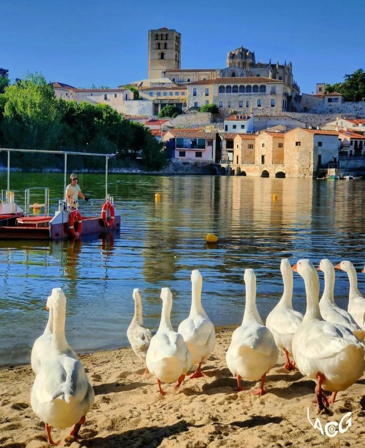 A Los Ojos Del Rio Duero ثامورا المظهر الخارجي الصورة