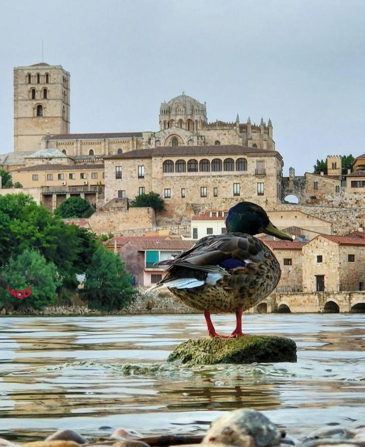A Los Ojos Del Rio Duero ثامورا المظهر الخارجي الصورة