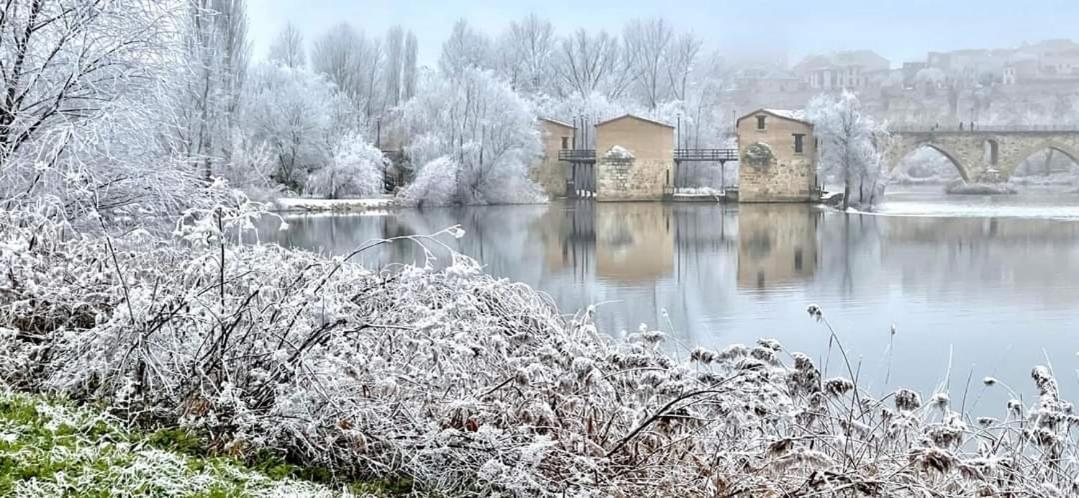 A Los Ojos Del Rio Duero ثامورا المظهر الخارجي الصورة