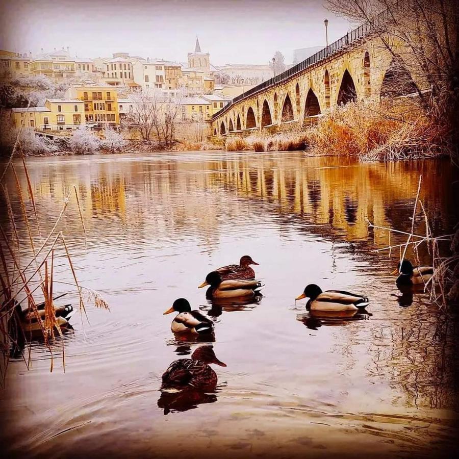 A Los Ojos Del Rio Duero ثامورا المظهر الخارجي الصورة